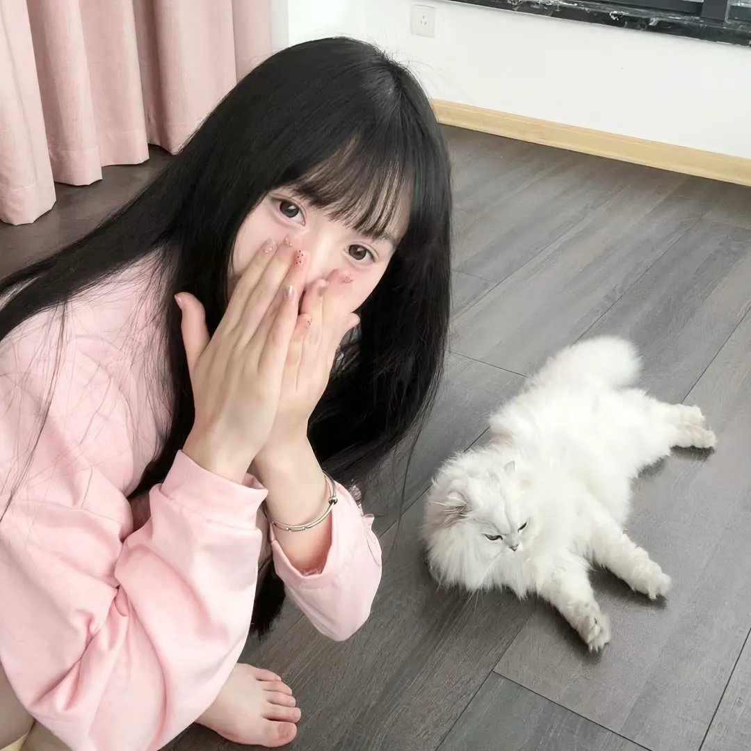 救猪行动